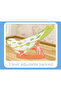 – Baby Bath Seat and Support for Newborn to Infant - 6