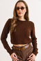 Women's Bitter Brown Wave Knitted Crop Sweater Kzk-19000822