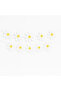 Daisy Themed Decorative Banner – Party, Birthday, Baby Celebration Decorations - 2