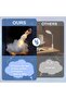 DIY Rocket Night Light Kit for Kids (Ages 4-12) - 4