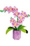 Orchid Flower Art Paper Orchid Craft Kit - No Glue or Scissors, Gift Set (6+) - 2