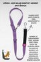 Pet Car Seat Belt Dog Safety Belt Car Auto Accessory Cat Dog Safety Harness - 2