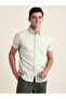 Men Striped Slim Fit Pure Cotton Shirt