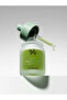 Vegan BHA & Matcha Ampoule 30 Ml - 5
