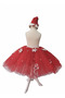 9-10 Years Old Glitter Tutu Skirt Christmas Costume – Set with Elastic Waist and Hat as a Gift - 4