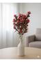 Flower of the Desert Home Office Decoration