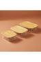 Lavi Rectangular 3-Piece Storage Container Set - 6