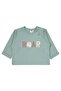 Roar Printed 6-18 Months Set - Green - 2