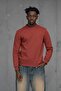 Slimfit Dot Dobby Crew Neck Cotton Sweater