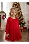 Girl's Cotton Stone Detailed Bow Tutu Dress