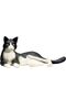 Cat Lying Black and White - 2