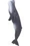 387210 Sperm Whale Toy Figure, Multi-Colour - 3
