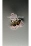 Accessory Yelpaze Form Glass Cut, Natural Stone Pink Quartz, Steel Women's Earrings with Dangle - 3