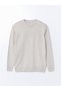 Lcwaikiki Classic Crew Neck Men's Knitwear Sweater - 5