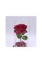 Enchanted Red Rose with Petals in Glass Dome Gifts for Women Valentine’s Day - 4