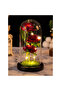 Valentine's Day Rose Gift for Her – Rose Dome with Grass and Black Base