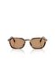 Po3381S 123653 54 Unisex Sunglasses - 5