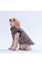 Mbeya Gold Leopard Pattern Vest Dog Vest Dog Clothing Dog Raincoat - 4