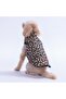 Mbeya Gold Leopard Pattern Vest Dog Vest Dog Clothing Dog Raincoat