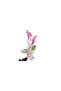 Pembe Orkide