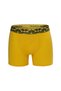 Men's 6-Pack Luxury Boxer Briefs in a Gift Box: Cotton, Spandex, and Digital-Print Elastic Waistband - G09002 - Lime Green - Mint - Fı - 6