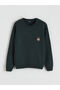 Alita City Farkıyla Xside Green Knitwear Printed Oval Collar Boys' Sweater
