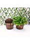 OneDcor 2 Pcs Wooden Wall Planter - Versatile Hanging Flower Basket and Decorative Pot - 6