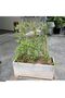 𝐎𝐧𝐞𝐃𝐜𝐨𝐫 Natural Bamboo Plant Stakes – 10pcs 120cm Garden Support Sticks for Indoor - 3