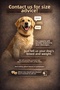 ملابس الكلاب الصغيرة والمتوسطة والكبيرة، سويت شيرت Duckdash Dog - 3