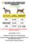 طقم طوق صدر للقطط والكلاب من الجيل الجديد من Air Mesh - 4