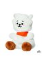 دمية BT21 RJ قطيفة بطول 13 سم - 3