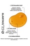Vitamin C Anti-Blemish and Brightening Serum, 10% Ascorbic Acid, 1% Arbutin, 1% Kojic Acid 30 ml - 3