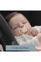 Clown and Butterfly 2-Pack Pacifier No:2 (6-18 Months) - Brownish Purple and Khaki - 6