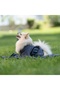 Neck Dog Bathrobe Microperformance® Super Water Absorbent Towel Bathrobe for Small and Large Breeds - 2