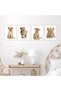 ALAYRA Baby Lion Wall Art Animal Wall Art Cub Lion Poster - Set of 4 () African Lion Art Animal Wall Decor Lion Wall Decorations, Animal Pictures Wall Art African Safari Decor20X25 CM - 5