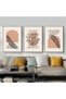 ALAYRA Modern Bohemian Abstract Poster Wall Decoration, Beautiful Botanical Pictures Poster Wall Art, Minimalist Wall Poster Set - Frameless (Wall Picture-05. x 3 Pieces)30X40 CM - 3