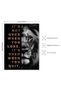 ALAYRA NymphFable Inspirational Lion Wall Decor Poster Black and Gold Positive Wall Poster for Office Gym Bedroom Decor Unframed40X30 CM - 5