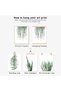 ALAYRA Botanical Prints Poster Wall Decor for Living Room, Plant Painting Canvas Unframed Set of 4, Leaf Art (, A/Green)20X25 CM - 5