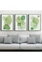 ALAYRA Modern Bohemian Abstract Poster Wall Decoration, Beautiful Botanical Pictures Poster Wall Art, Minimalist Wall Poster Set - Frameless (Wall Picture-01. x 3 Pieces)39X29 CM - 3