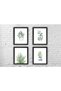 ALAYRA Botanical Wall Art Prints Set of 4 Wall Pictures - Boho Minimalist Plant Floral Leaves Wall Decor - Kitchen Eucalyptus Leaf Green Botanical Poster Sets - 8“x10“ UNFRAMED20X25 CM - 5