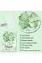 ALAYRA Inspirational Wall Art Print Set of 6 Tropical Botanical Leaves Wall Decor Sage Green Leaf Canvas Set Pictures Motivational Wall Art Posters for Living Room Bedroom Office30X40 CM - 2