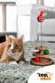 Wood - Cat Toy - Multi-Purpose Use (Contains Rattle and Spring Ball) - 3