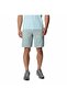 Men's Shorts 2036851-350