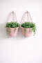 Decorative Basket 2-Piece Mini Flower Pot Organizer 12X10 cm Plants and Vine Supports Not Included - 2