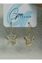 Star Figured Stone Detailed Steel Earrings