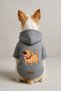 Printed Dog and Cat Clothing & Dress with Fleece Inside - Grey Color K Hooded Hoodie Bf473