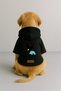 Printed Dog and Cat Clothing & Dress with Fleece Inside - Black Color K Hooded Hoodie B314D