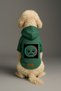 Printed Dog and Cat Clothing & Dress with Fleece Inside - Green Color K Hooded Hoodie Befad