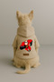 Printed Dog and Cat Clothing & Dress with Fleece Inside - Beige Color K Hooded Hoodie B61Ce - 2