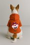 Printed Inside Fleece Dog and Cat Clothing & Dress - Orange Color K Hooded Hoodie B6210 - 2